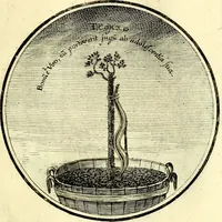 Picture 157 of 191 from Regvla emblematica sancti Benedicti (1780), leaf 328