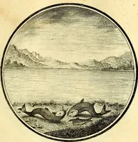 An illustration from Regvla emblematica sancti Benedicti (1780)
