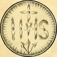 Picture 32 of 191 from Regvla emblematica sancti Benedicti (1780), leaf 78
