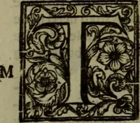 An illustration from The reign of King Charles : an history disposed into annalls (1656)