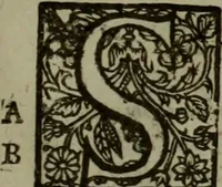 An illustration from The reign of King Charles : an history disposed into annalls (1656)