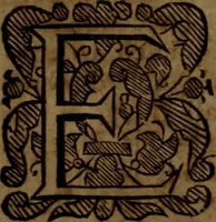 An illustration from The reign of King Charles : an history disposed into annalls (1656)