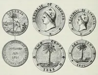 Picture 1 of 15 from Reisebilder aus Liberia : Resultate geographischer, naturwissenschaftlicher und ethnographischer untersuchungen während der jahre 1879-1882 und 1886-1887 (1890), leaf 104