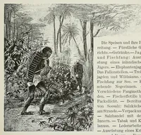 Picture 6 of 15 from Reisebilder aus Liberia : Resultate geographischer, naturwissenschaftlicher und ethnographischer untersuchungen während der jahre 1879-1882 und 1886-1887 (1890), leaf 293