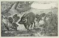 Picture 11 of 15 from Reisebilder aus Liberia : Resultate geographischer, naturwissenschaftlicher und ethnographischer untersuchungen während der jahre 1879-1882 und 1886-1887 (1890), leaf 437
