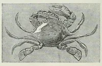An illustration from Reisebilder aus Liberia : Resultate geographischer, naturwissenschaftlicher und ethnographischer untersuchungen während der jahre 1879-1882 und 1886-1887 (1890)
