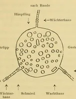 An illustration from Reise durch das Hinterland von Liberia im Winter 1906-1907 nach seinen Tagebüchern (1911)