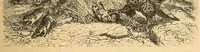 An illustration from Reisen in Zentral- und Nordasien (1891)