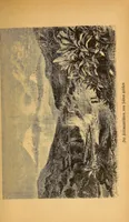 An illustration from Reisen in Zentral- und Nordasien (1891)