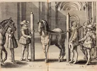 An illustration from Reitkunst Herrn Antonij de Pluvinel, darinnen er die jetzo regirende Kön. Mayst. in Frankreich/Ludouicum XIII. vnderwiesen : lehrend / Wie ein Reutersmann sich zu allen ritterlichen Vbungen bequemen vnd instellen / wie ein Pferd zum Gehorsam zubringen vnd in allerley schönen Schulen / Stücken vnd Maneigen leichtlich vnd volkommenlich abgerichtet werden soll : In Frantzösischer vnd Teutscher Sprach an den Tag gegeben / vnnd mit sechzig schönen Kupfferstücken gezieret (1628)