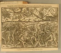 Picture 5 of 16 from Histoire d'un voyage faict en la terre du Bresil, autrement dite Amerique. : Contenant la nauigation, & choses remarquables, veuës sur mer par l'aucteur. Le comportement de Villegagnon en ce pays la. Les moeurs & facons de viure estranges des sauuages ameriquains: auec vn colloque de leur langage. Ensemble la description de plusieurs animaux, arbres, herbes, & autres choses singulieres, & du tout inco[n]nues pardecà: dont on verra les sommaires des chapitres au commencement du liure. (1580), leaf 255