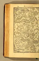 An illustration from Histoire d'un voyage faict en la terre du Bresil, autrement dite Amerique. : Contenant la nauigation, & choses remarquables, veuës sur mer par l'aucteur. Le comportement de Villegagnon en ce pays la. Les moeurs & facons de viure estranges des sauuages ameriquains: auec vn colloque de leur langage. Ensemble la description de plusieurs animaux, arbres, herbes, & autres choses singulieres, & du tout inco[n]nues pardecà: dont on verra les sommaires des chapitres au commencement du liure. (1580)