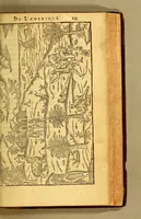 An illustration from Histoire d'un voyage faict en la terre du Bresil, autrement dite Amerique. : Contenant la nauigation, & choses remarquables, veuës sur mer par l'aucteur. Le comportement de Villegagnon en ce pays la. Les moeurs & facons de viure estranges des sauuages ameriquains: auec vn colloque de leur langage. Ensemble la description de plusieurs animaux, arbres, herbes, & autres choses singulieres, & du tout inco[n]nues pardecà: dont on verra les sommaires des chapitres au commencement du liure. (1580)