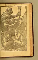An illustration from Histoire d'un voyage faict en la terre du Bresil, autrement dite Amerique. : Contenant la nauigation, & choses remarquables, veuës sur mer par l'aucteur. Le comportement de Villegagnon en ce pays la. Les moeurs & facons de viure estranges des sauuages ameriquains: auec vn colloque de leur langage. Ensemble la description de plusieurs animaux, arbres, herbes, & autres choses singulieres, & du tout inco[n]nues pardecà: dont on verra les sommaires des chapitres au commencement du liure. (1580)