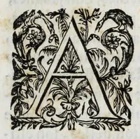 An illustration from Relacion tragica del Vesuvio (1632)