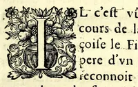 An illustration from Relation de ce qui c'est passé de plus considerable dans la rejouissance ordonnée par messieurs les magistrats de la ville de Semur, capitalle d'Auxois sur la naissance de Monseigneur duc de Bourgogne en l'année 1682 (1682)