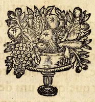 An illustration from Relation de ce qui s'est passé, dans les isles & terre-ferme de l'Amerique, : pendant la derniere guerre avec l'Angleterre, & depuis en execution du traitté de Breda. Avec un journal du dernier voyage du Sr de la Barre en la terre-ferme, & isle de Cayenne, accompagné d'une exacte description du pays, mœurs & naturel des habitans. (1671)
