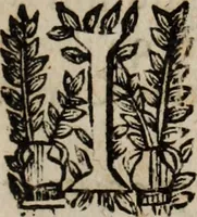 An illustration from Relation de ce qui s'est passe' en la Novvelle France en l'annee 1637, enuoyée au R. Pere Provincial de la Compagnie de Iesvs en la Prouince de France (1638)