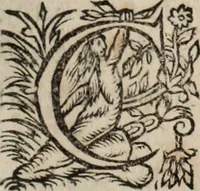An illustration from Relation de ce qui s'est passe' en la Novvelle France en l'annee 1637, enuoyée au R. Pere Provincial de la Compagnie de Iesvs en la Prouince de France (1638)