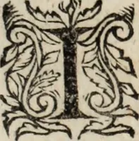 An illustration from Relation de ce qui s'est passe' en la Novvelle France en l'annee 1637, enuoyée au R. Pere Provincial de la Compagnie de Iesvs en la Prouince de France (1638)
