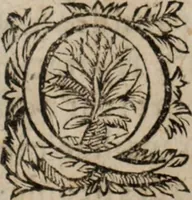 An illustration from Relation de ce qui s'est passe' en la Novvelle France en l'annee 1637, enuoyée au R. Pere Provincial de la Compagnie de Iesvs en la Prouince de France (1638)