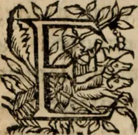 An illustration from Relation de ce qui s'est passe' en la Novvelle France en l'annee 1637, enuoyée au R. Pere Provincial de la Compagnie de Iesvs en la Prouince de France (1638)