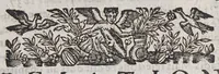 An illustration from Relation de ce qui s'est passé en la Nouuelle France en l'annee 1637. Enuoyée au r. pere prouincial de la Compagnie de Iesus en la prouince de France. (1638)