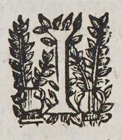 An illustration from Relation de ce qui s'est passé en la Nouuelle France en l'annee 1637. Enuoyée au r. pere prouincial de la Compagnie de Iesus en la prouince de France. (1638)