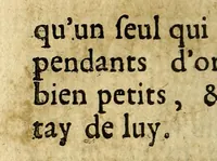 An illustration from Relation de la riviere des Amazones (1682)
