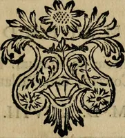 An illustration from Relation des Voyages et des Découvertes que les Espagnols ont fait dans les Indes Occidentales; (1698)