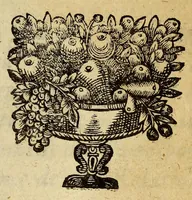 An illustration from Relation du Groenland (1663)