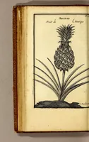 Picture 10 of 17 from Relation d'un voyage fait en 1695. 1696. & 1697. aux côtes d'Afrique, détroit de Magellan, Brezil, Cayenne & isles Antilles, par une escadre des vaisseaux du roy, commandée par M. de Gennes. (1698), leaf 120