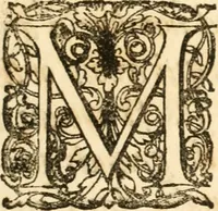 An illustration from Relation du voyage de Sa Majesté britannique en Hollande, et de la reception qui luy a été faite : enrichie de planches très-curieuses : avec un récit abregé de ce qui s'est passé de plus considerable depuis l'arrivée de Sa Majesté en Hollande le 31. de Janvier, jusqu'à son retour en Angleterre, au mois d'Avril 1691, & l'heureax succés de l'expedition d'Irlande, subjuguée par les arnes toûjours victorieuses de Sa Majesté (1692)