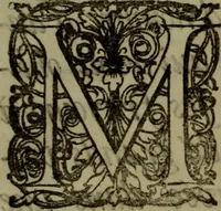 An illustration from Relation du voyage de Sa Majesté britannique en Hollande, et de la reception qui luy a été faite .. (1692)