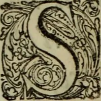 An illustration from Relation du voyage de Sa Majesté britannique en Hollande, et de la reception qui luy a été faite .. (1692)