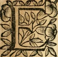 An illustration from Relatione copiosissima della nobilissima caualcata fatta con l'occasione del possesso preso alli 4. di nouembre 1691 dall' illustrissimo & eccellentissimo signore, senatore di Roma, il signore Ottauio Riari, marchese di Monte Peloso e senatore di Bologna (1691)
