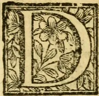 An illustration from Relatione della Corte di Roma, e de' riti da osservarsi in essa : e de' suoi ma gistrati, & officii, con la loro distinta giurisdittione (1689)
