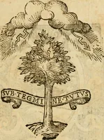 Picture 3 of 4 from Relatione delle cerimonie fatte per la creatione del sommo pontefice Alessandro settimo, seguita il dì 7. del mese di aprile dell'anno 1655, e delle allegrezze fatte in Roma per tale occasione (1655), leaf 14