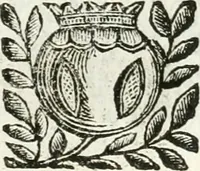 An illustration from Relatione delle festiue dimostrationi fatte in Bologna nella creatione e coronatione della Santità di N. S. P. Clemente IX (1667)