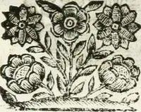 An illustration from Relatione delle festiue dimostrationi fatte in Bologna nella creatione e coronatione della Santità di N. S. P. Clemente IX (1667)