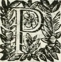 An illustration from Relatione delle festiue dimostrationi fatte in Bologna nella creatione e coronatione della Santità di N. S. P. Clemente IX (1667)