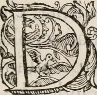 Picture 1 of 7 from Relatione delle feste fatte in Napoli dall'eccellen.mo signor duca di Medina de las Torres, vice re del regno, per la nascita della serenissima infa[n]ta di Spagna (1639), leaf 14