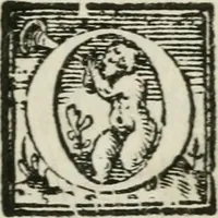 An illustration from Breve relatione del nobilissimo trionfo e della sontuosissima festa celebrate in Mantova per l'elletione della Sacra Maestà di don Ferdinando : arciduca d'Austria, re di Boëmia, & Ongheria all'Imperio, il mese di settembre dell'anno M.DC.XIX : alla sereniss. arciduchessa d'Austria, gran duchessa di Toscana &c (1619)