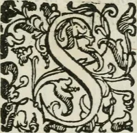 An illustration from Breve relatione del nobilissimo trionfo e della sontuosissima festa celebrate in Mantova per l'elletione della Sacra Maestà di don Ferdinando : arciduca d'Austria, re di Boëmia, & Ongheria all'Imperio, il mese di settembre dell'anno M.DC.XIX : alla sereniss. arciduchessa d'Austria, gran duchessa di Toscana &c (1619)