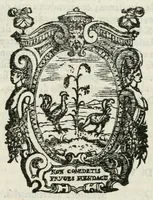 An illustration from Relatione del viaggio et arrivo in Evropa et Roma de' principi giapponesi : venutià dare obedienza à Sua Santità l'anno MDLXXXV all'Eccell. Sig. Girolamo Mercvriale (1585)