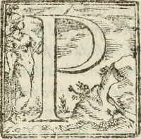Picture 3 of 17 from Relatione di Alfonso Isachi intorno l'origine, solennità, traslatione, et miracoli della Madonna di Reggio (1619), leaf 30