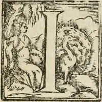 An illustration from Relatione di Alfonso Isachi intorno l'origine, solennità, traslatione, et miracoli della Madonna di Reggio (1619)