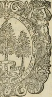 An illustration from Relatione di quanto e successo nella città di Vagliadolid dopò il felicissimo nascimento del principe di Spagna don Filippo Dominico Vittorio nostro sig. : fin che si finirono le dimostrationi d'allegrezza, che per quel si fecero (1608)