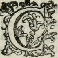 Picture 19 of 25 from Relationi della venvta degli ambasciatori giaponesi a Roma sino alla partita di Lisbona : con le accoglienze fatte loro da tutti i principi christiani per doue sono passati (1586), leaf 182