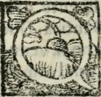 Picture 20 of 25 from Relationi della venvta degli ambasciatori giaponesi a Roma sino alla partita di Lisbona : con le accoglienze fatte loro da tutti i principi christiani per doue sono passati (1586), leaf 183